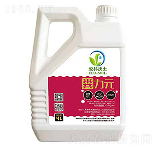 �S��Ԫ-�ۿ�����