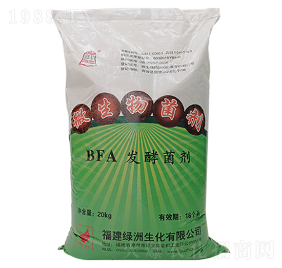 BFA�l(f��)�̈́�-�G������