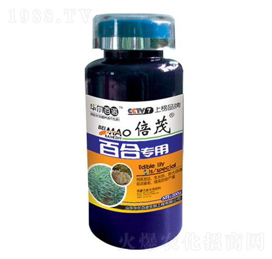 ٺό(zhun)~-AZ