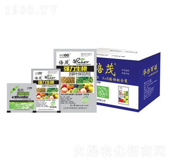 (qing)G~-AZ