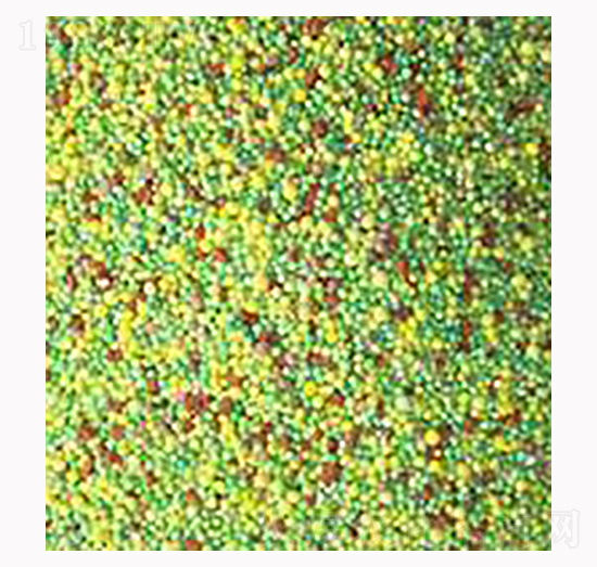 �������20-24-6-��ʩ��