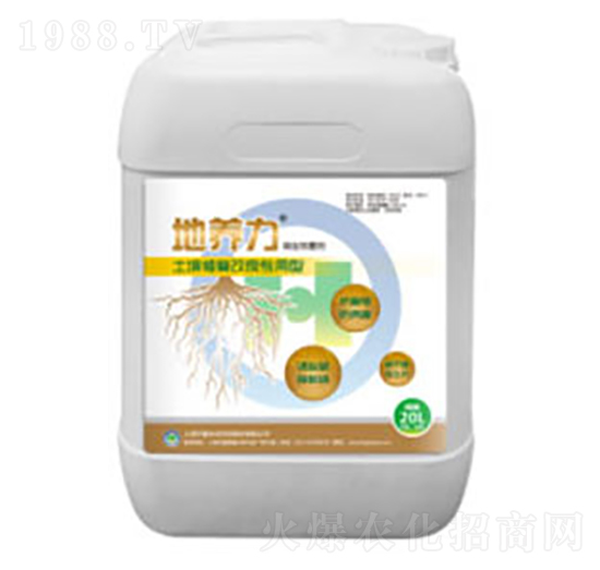 �����ޏ�(f��)��������-���B(y��ng)��-���h(hu��n)���B(t��i)