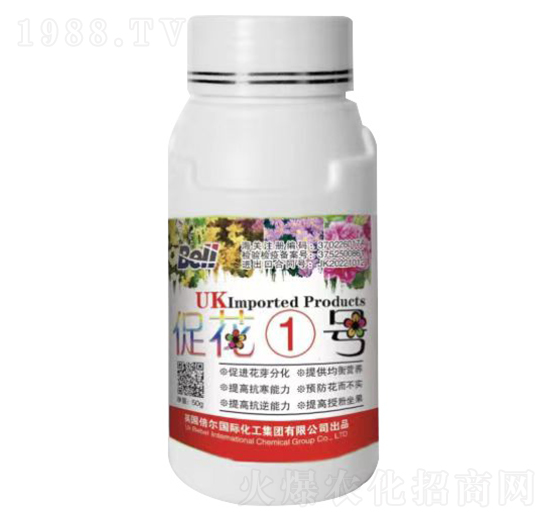 ٻ1̖(ho)-Ӣ-տ