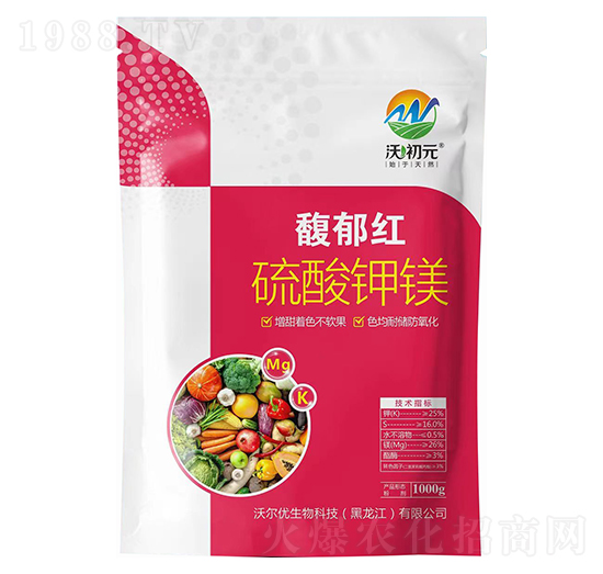 ������V-����t-�֠���(y��u)