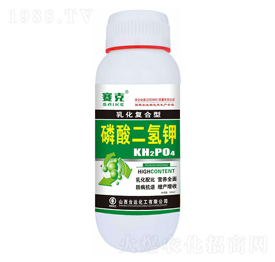 �黯��(f��)������������-ِ��-�_�_�ʘI(y��)