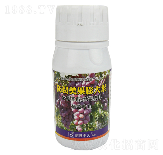 �������������-����ʘI(y��)