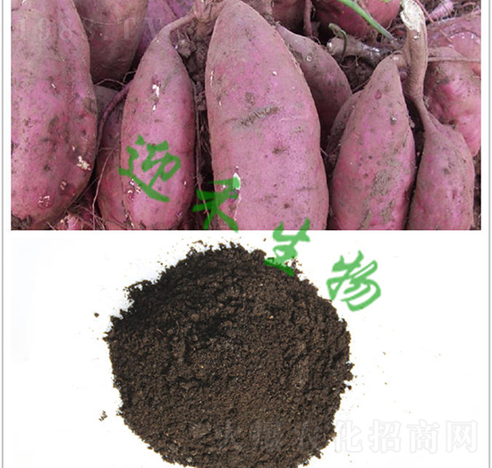 t팣(zhun)÷-ӭ