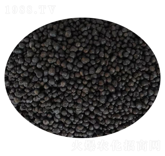 �����ЙC(j��)��-��������