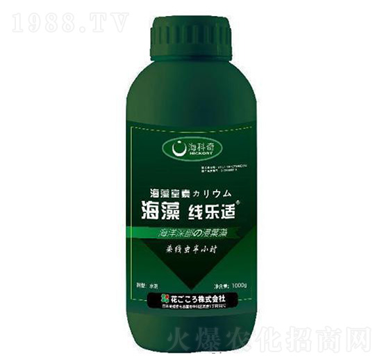 海藻線樂適-?？破? style=