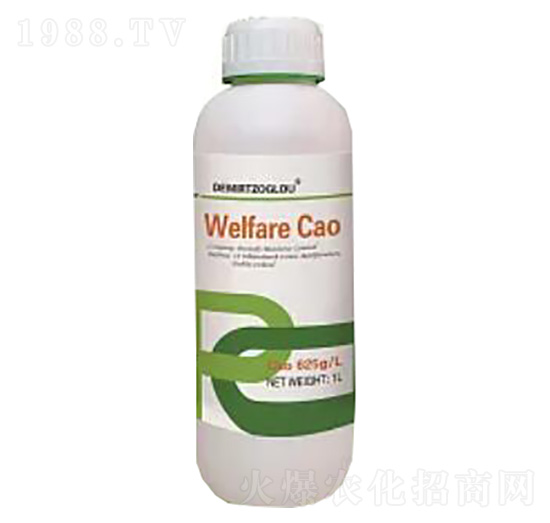 �����}-����Ԫ��ˮ�ܷ���-��ͫ����