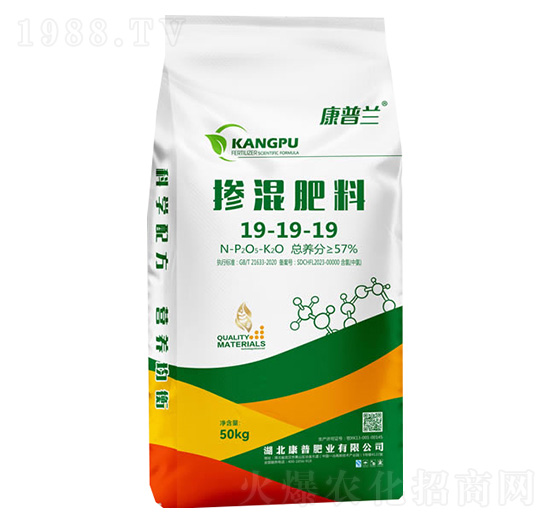 �������19-19-19-�����m-���շʘI(y��)