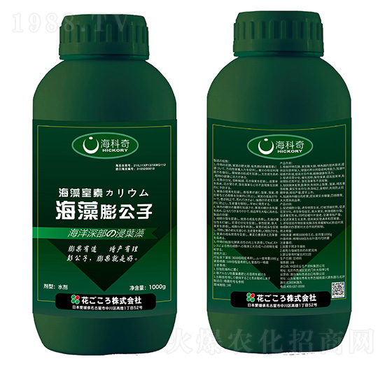 ��������-������