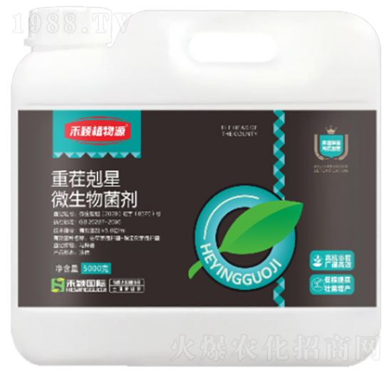 �ز�w��-�̷fֲ��Դ-�̷f����