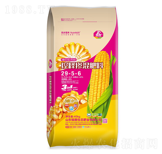 ��ጓ������29-5-6-�J��