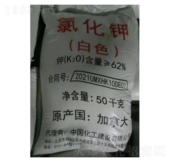 氯化鉀加拿大白色顆粒-壯方元