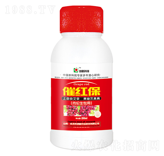 200ml˂ô߼t~-(chung)¿Ƽ