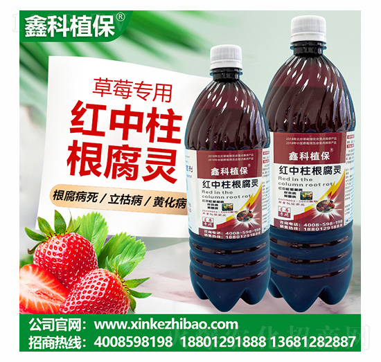 ݮ(zhun)üt`-οֲ