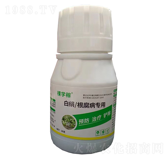 ׽/(zhun)-ÌW(xu)