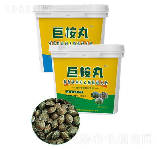 黃腐酸桉樹大顆?？厥Х柿?5-8-22+TE-巨桉丸-豐收肥業(yè)