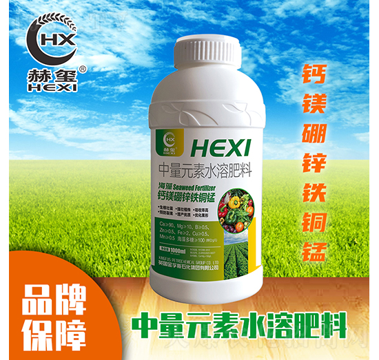 �}�V���\�F�~�i����Ԫ��ˮ�ܷ�-�խt