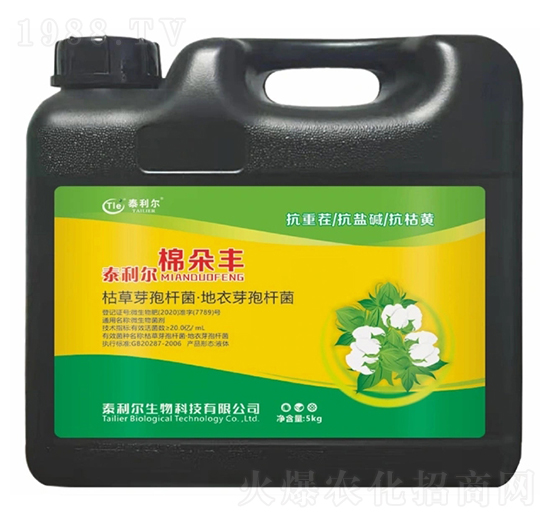 ΢�������-�޶��S-̩����