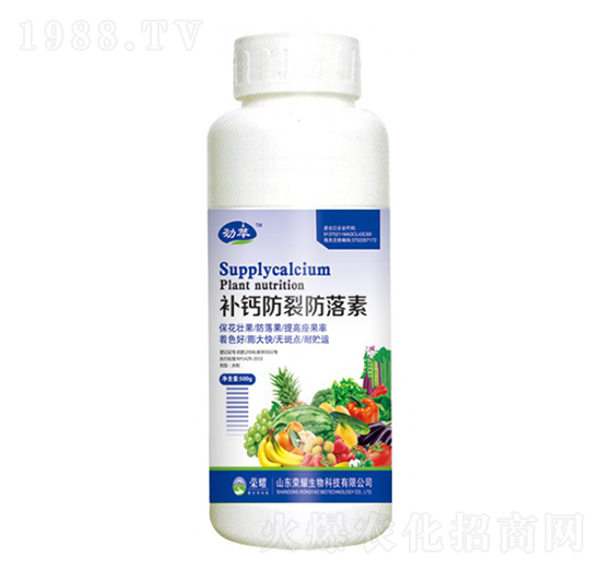 a}ѷأ500g--sҫrI(y)