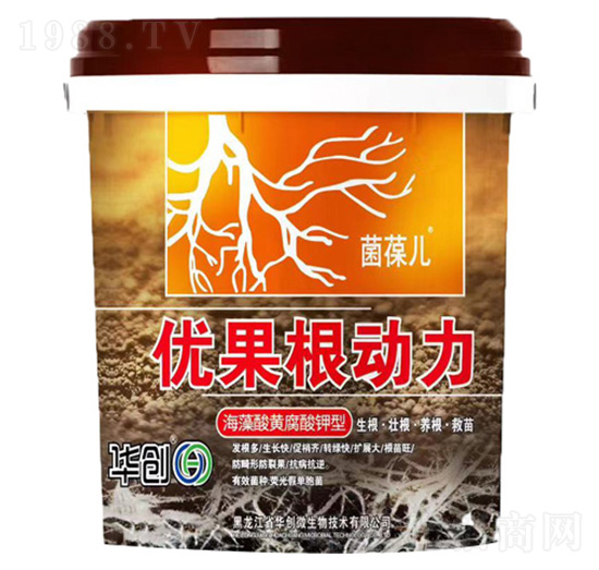 ��(y��u)������(d��ng)��-�A��(chu��ng)