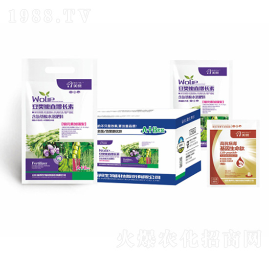 ������~���L(zh��ng)��-嫰�����