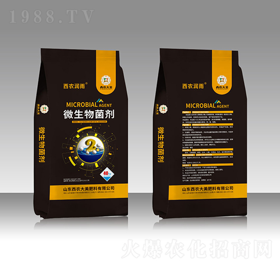 2�|΢�������-���r����-���r����