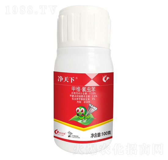 11.6%�׾S�����x��-������-����¡����