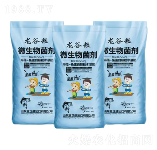 ΢�������-������-����