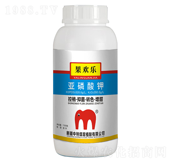 �������-���g��-����ú