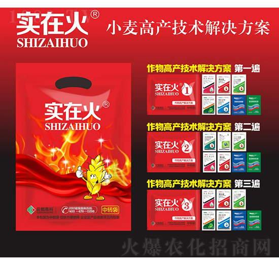 小麥高產技術解決方案-實在火-紅太陽