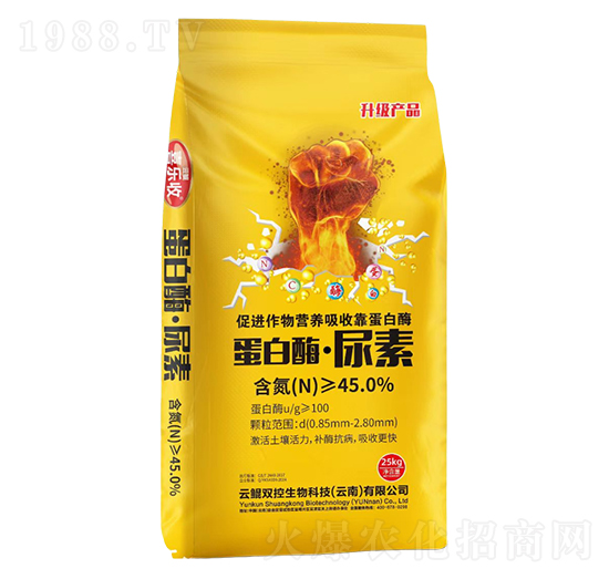 ����ø������-�t̫�