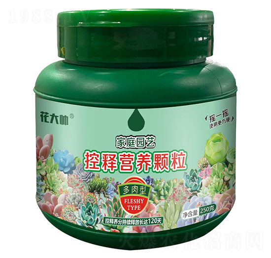 多肉型家庭園藝控釋營養(yǎng)顆粒-花大帥-綠沃肥業(yè)