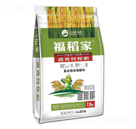 辷--ZʘI(y)