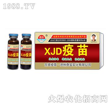 18gXJD-挚r