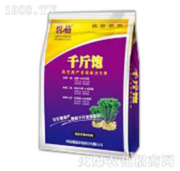 �����߮aȫ�̽�Q����-�̸�-�ɭ�r�I(y��)