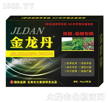 ɣ�茣(zhu��n)��-�����r(n��ng)��