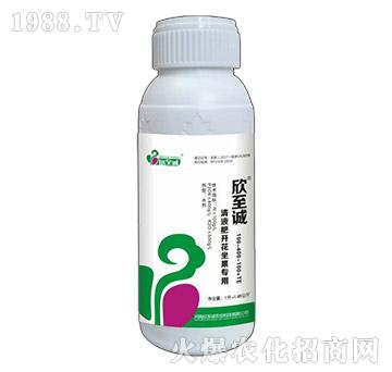 Һ_100-400-100+TE-\(chng)