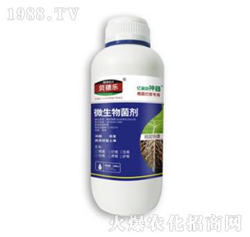 (zhun)΢-쿵-ؐ(l)