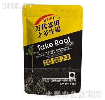 �����-�f(w��n)������