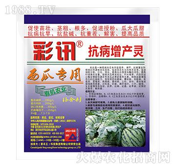 όÿa(chn)`-
