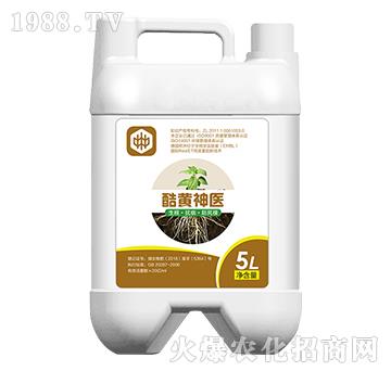 ���S���t(y��)�������������ã�-��ֲ(li��n)��