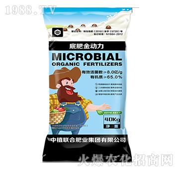 �׷ʽ���(d��ng)��-��ֲ(li��n)��