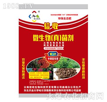 вˎ(zhun)΢棩-