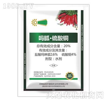 20%ҡ~-(gu)S@