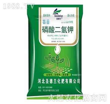 �|̦��������-ʥ���m