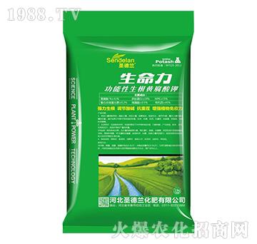 功能性生根黃腐酸鉀-生命力-圣德蘭