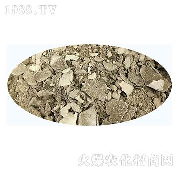 �ͺϾ����-�쌚